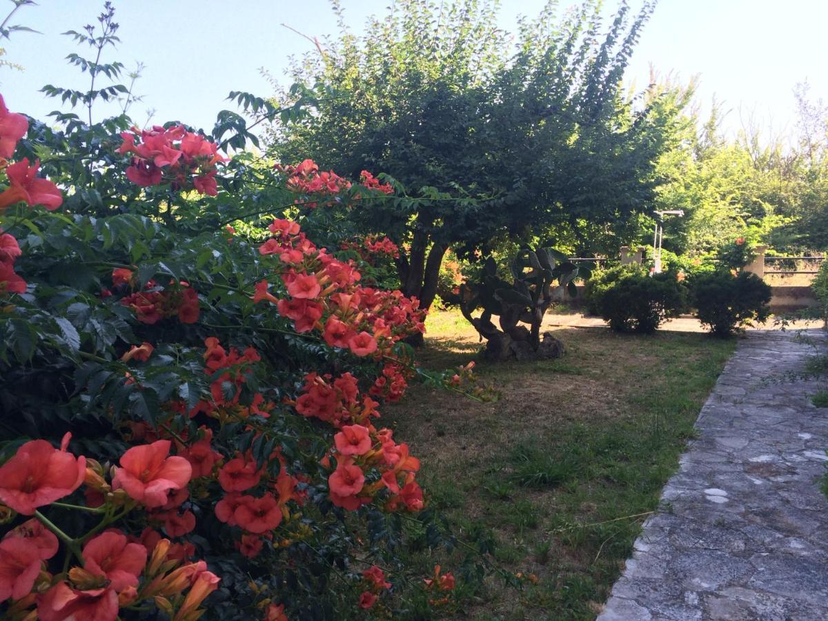 Villa-Toula Roda  Dış mekan fotoğraf